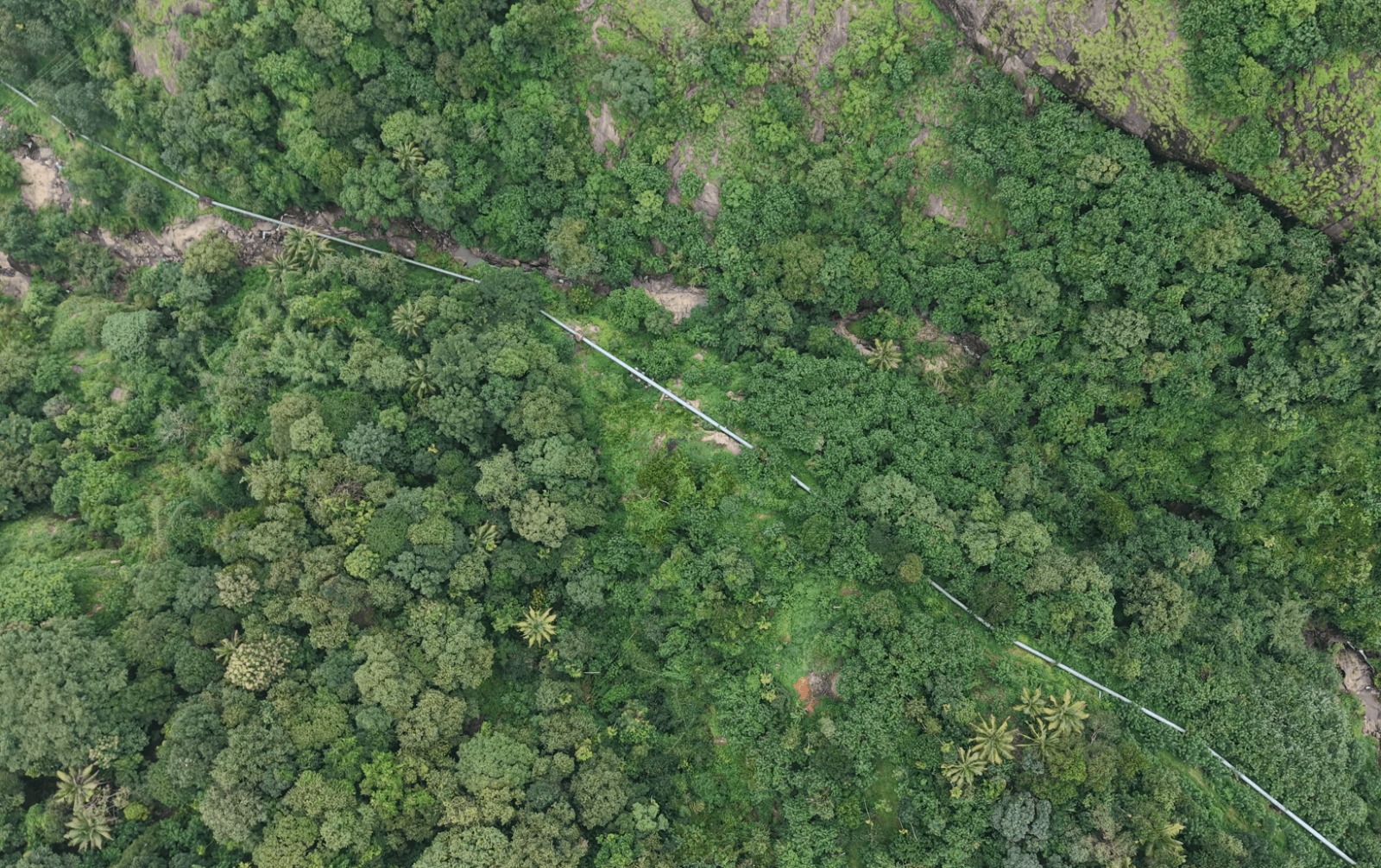 WhatsApp Image 2025-12-10 at 3.57.59 PM